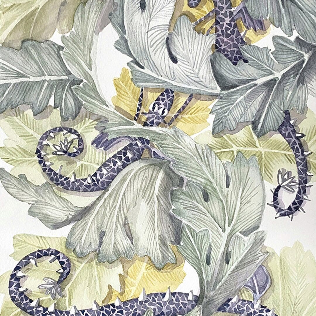 Acanthus Dragons