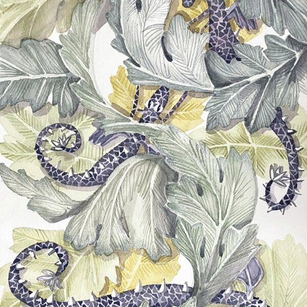 Acanthus Dragons