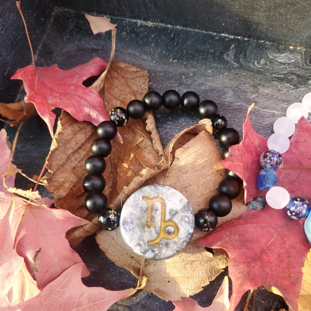 The Dark Galaxy Style of the Capricorn Zodiac Bracelet is displayed hanging off a tree branch.