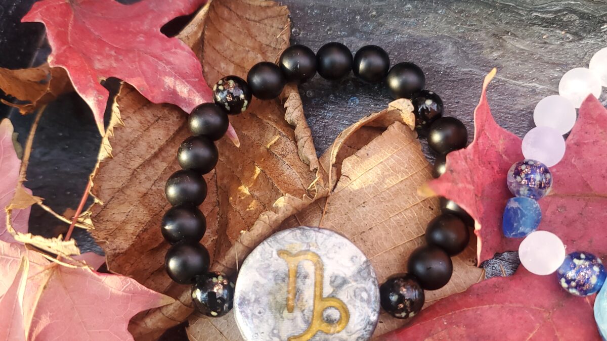 The Dark Galaxy Style of the Capricorn Zodiac Bracelet is displayed hanging off a tree branch.